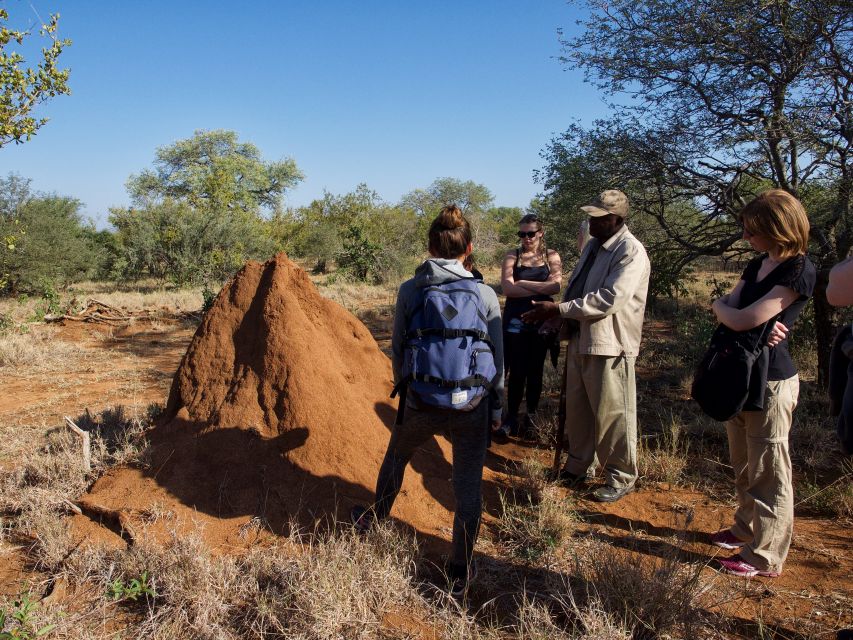 Johannesburg: 5-Day Classic Kruger National Park Safari - Experiences and Activities