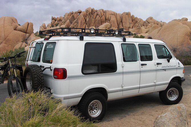 Joshua Tree National Park Scenic Tour - Reviews and Customer Experiences