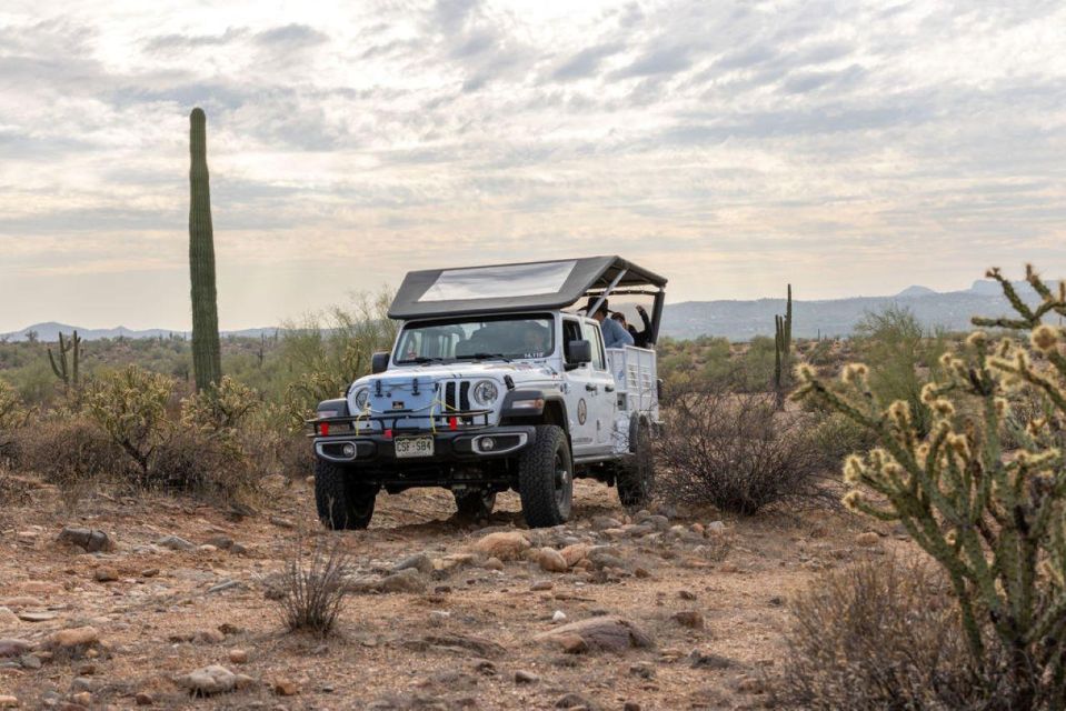 Jumping Cholla (Choya) Jeep Tour - Booking Details