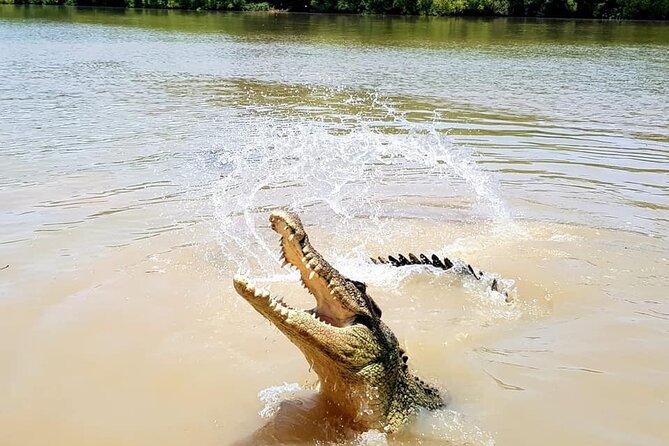 Jumping Crocodile Experience - Cancellation Policy Details