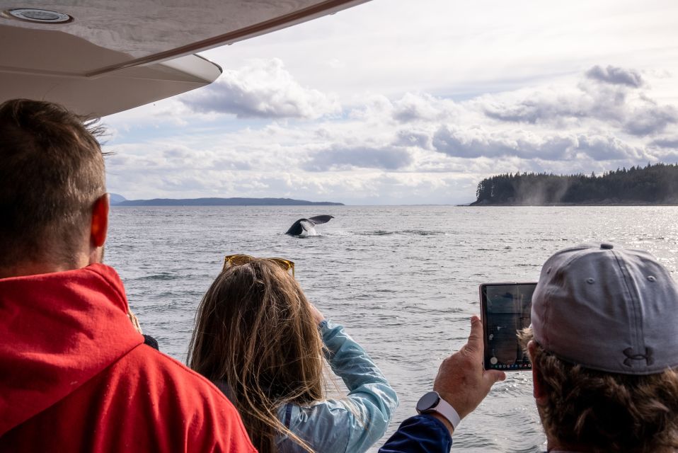 Juneau: All Inclusive Luxury Whale Watch - Inclusions and Features