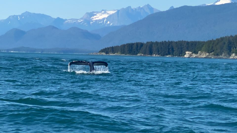 Juneau: Mendenhall Glacier Waterfall & Whale Watching Tour - Booking and Payment Details