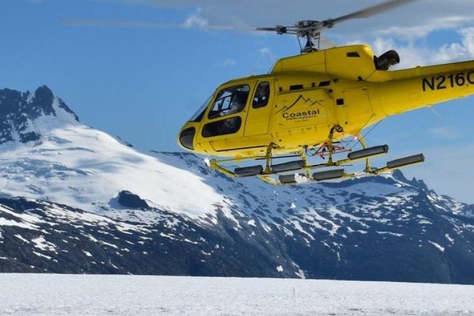 Juneau Shore Excursion: Helicopter Tour and Guided Icefield Walk - Customer Experiences