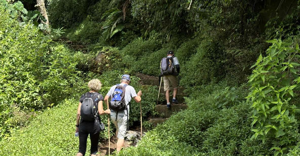 Jungle Trek, Canoe, Waterfall & Cycling - What to Bring for the Adventures