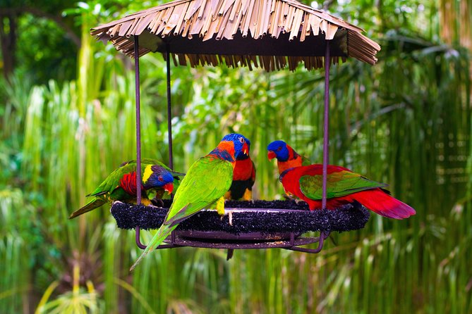 Jurong Bird Park Bird Photography - Personalized Guidance