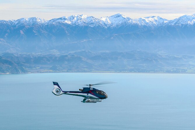 Kaikoura Helicopters Extended Whale Watch Flight - Additional Information for Passengers