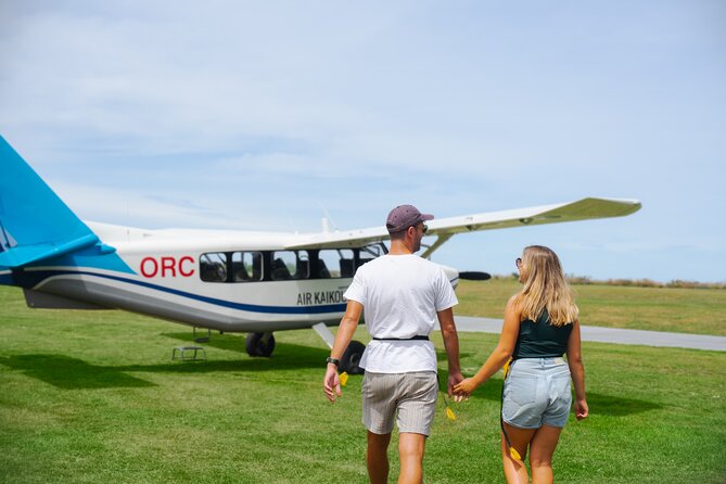 Kaikoura: Whale Watching Flight (Extended) - Booking and Pricing Information