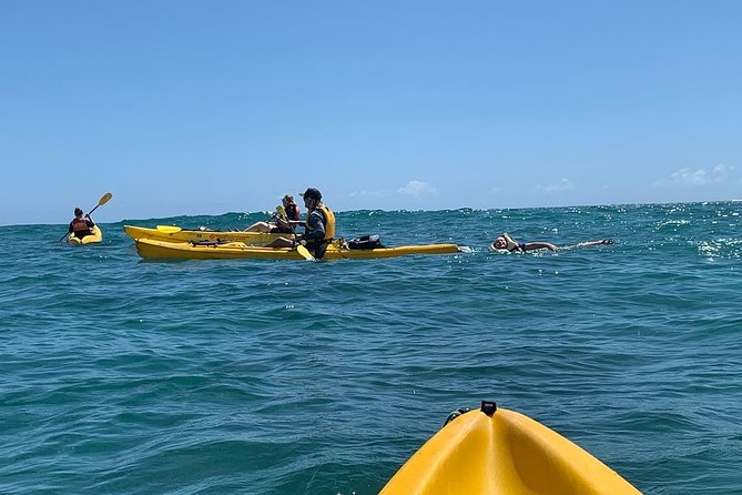 Kailua 2-Hour Guided Kayaking Excursion, Oahu - Common questions