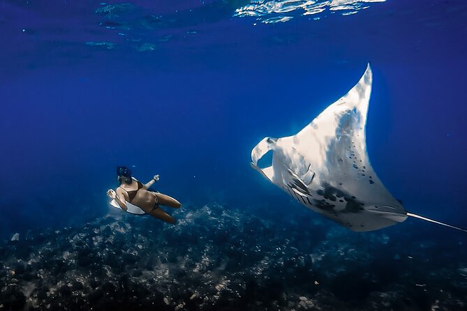 Kailua-Kona Group Swim With Manta Rays (Mar ) - Expectations and Restrictions