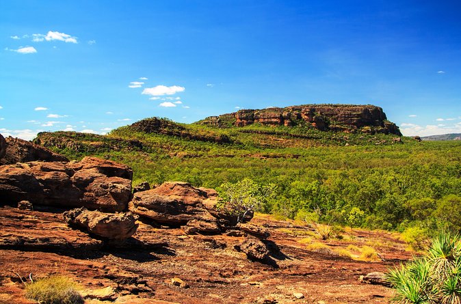 Kakadu, Nourlangie and Yellow Waters Tour From Darwin - Criticisms and Improvements