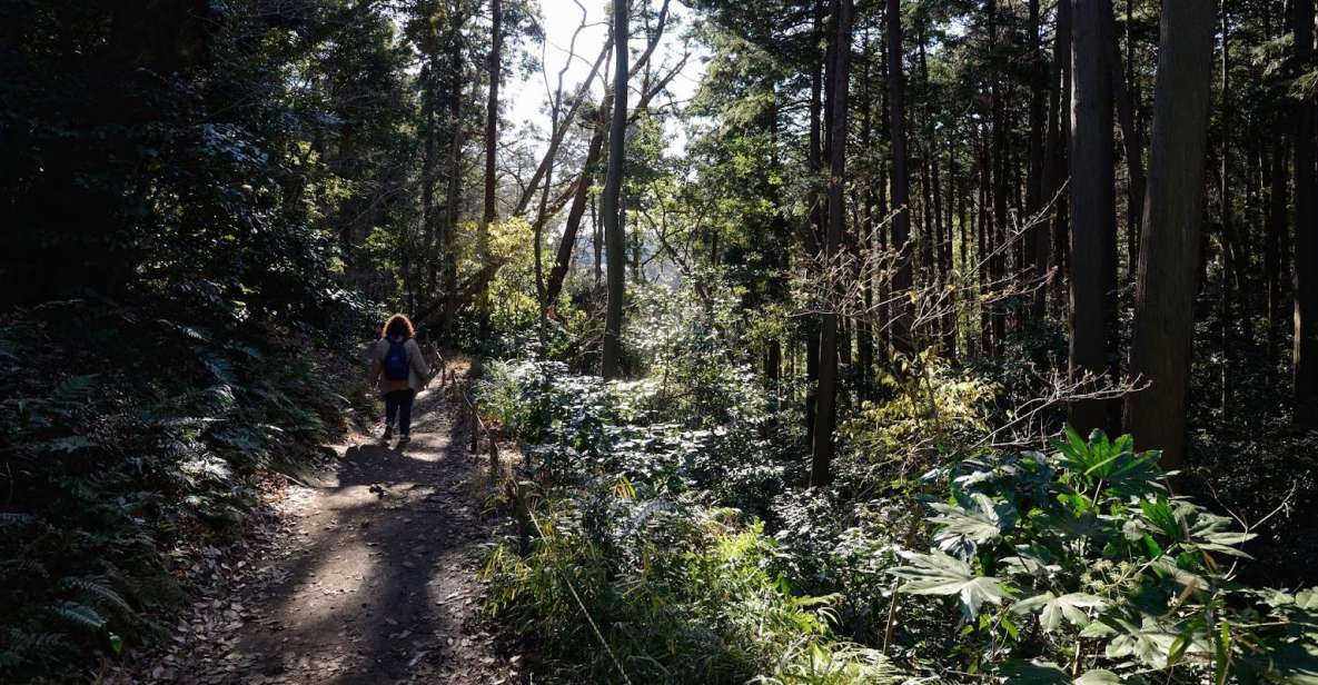 Kamakura: Daibutsu Hiking Trail Tour With Local Guide - Experience Highlights