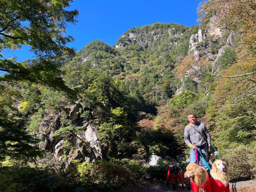 Kamakura Half Day Tour With a Local - Logistics