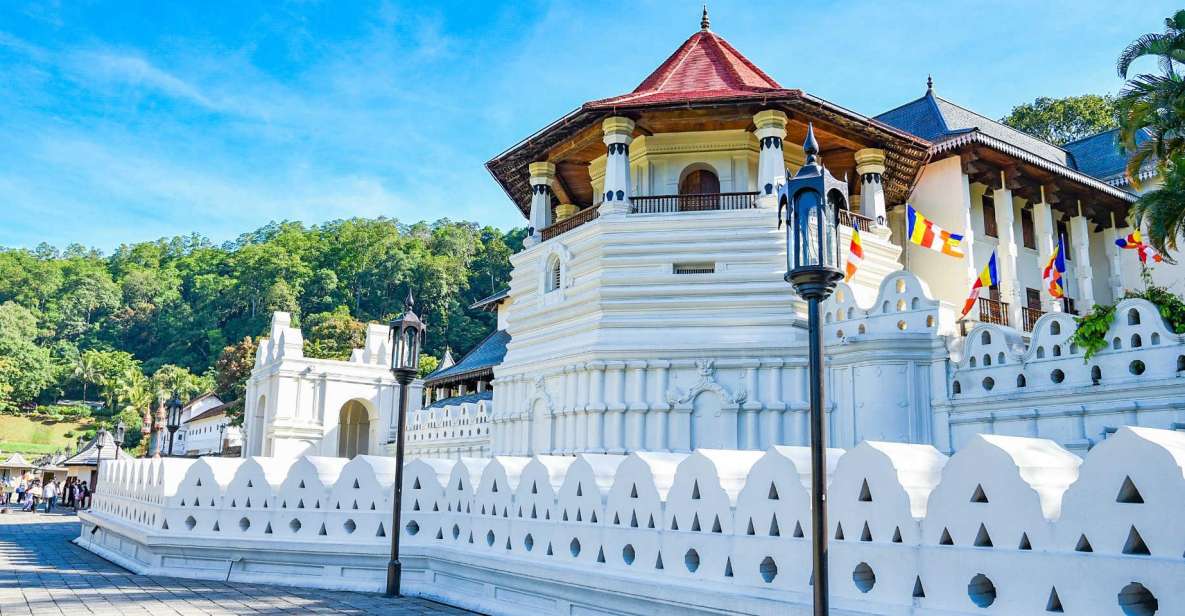 Kandy: All Inclusive City Tour - Experience Highlights