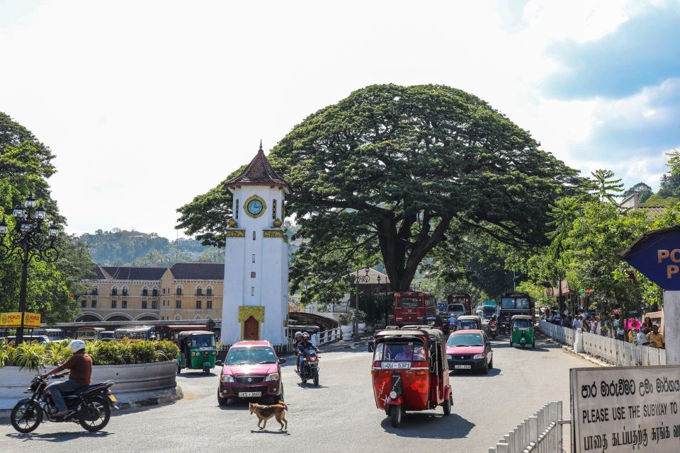 Kandy: Private Guided City Tours by Tuk Tuk Sightseeing Tour - Cultural Exploration