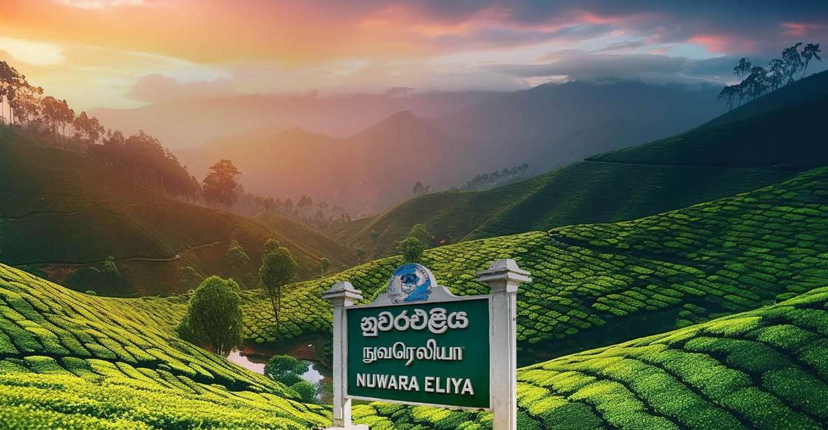 Kandy To Nuwara Eliya Day Tour By Tuk Tuk Sri Lanka - Cultural Events and Activities