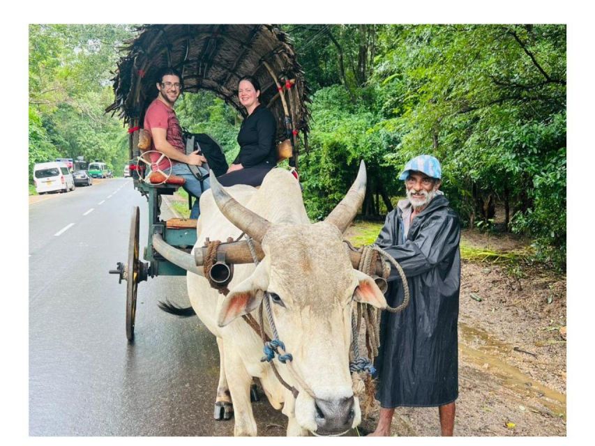 Kandy to Sigiriya Day Tours Tuk Tuk by Local - Inclusions and Experiences