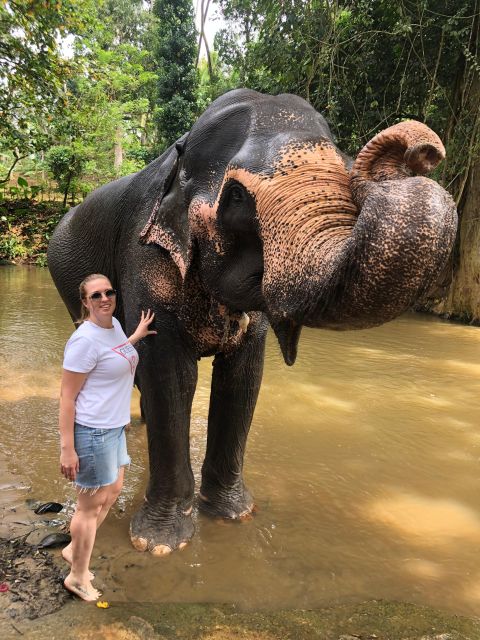 Kandy,Pinnawala and Tea Factory Full Day Tour - Temple of the Tooth Visit