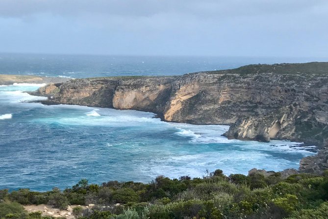 Kangaroo Island Scenic Nature and Wildlife Day Tour - Wildlife Encounters