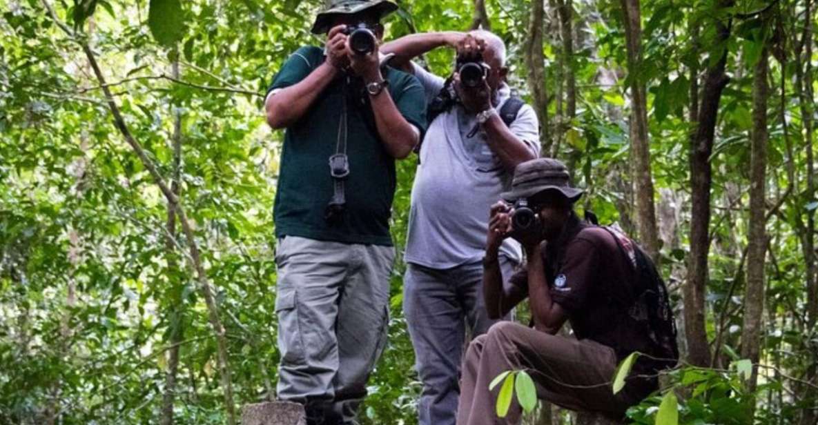 Kanneliya Forest Discovery: Guided Nature Expedition" - Expedition Highlights