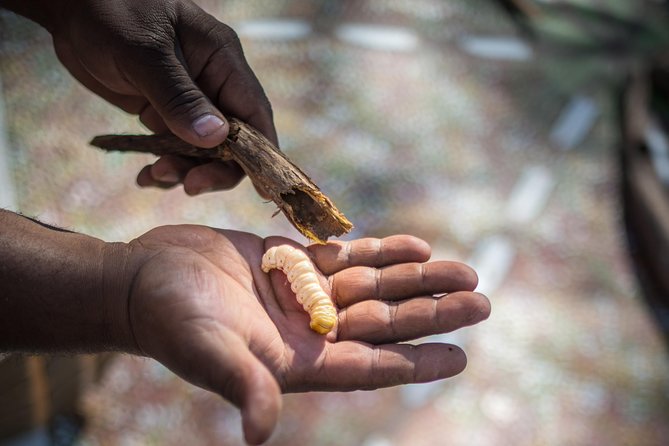 Karrke Aboriginal Cultural Experience - Expectations and Guidelines