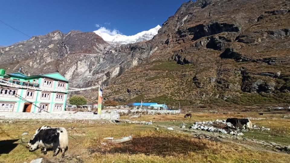 Kathmandu: 12 Day Langtang Valley & Gosainkunda Private Trek - Flexible Cancellation Policy