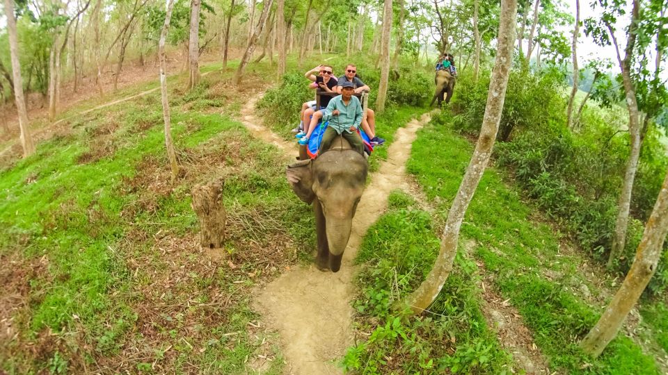 Kathmandu/Pokhara: Chitwan Jungle 3-Day Tour Meals & Hotel - Cancellation Policy and Payment Options
