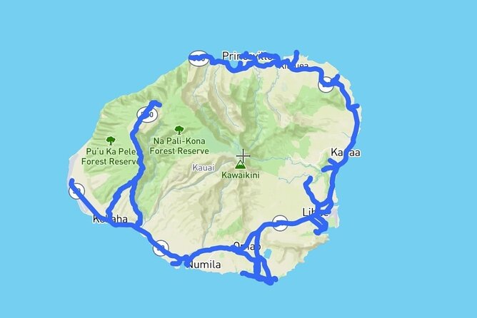 Kauai Audio Driving Private Tour - User Reviews and Feedback