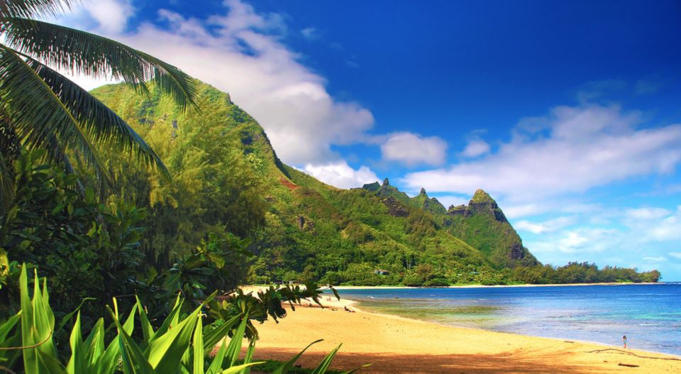 Kauai: Customized Luxury Private Tour - Customer Reviews