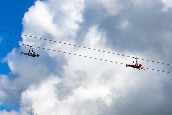 Kauai, Hawaii: Zip Line on a Working Ranch (Mar ) - Customer Reviews