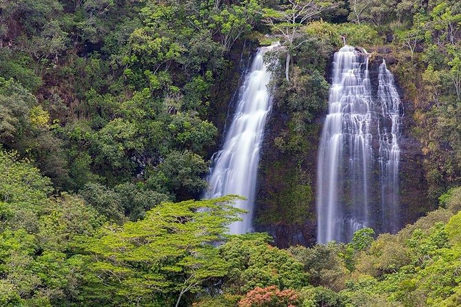 Kauai Movie Adventure Tour - Tour Experience