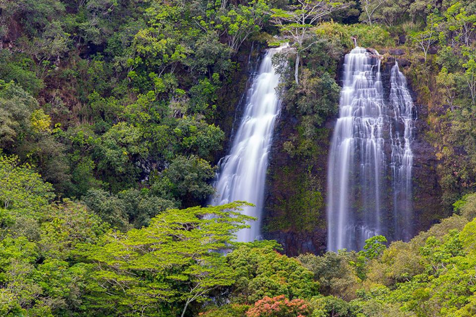 Kauai: Scenic Movie Locations Bus Tour - Reviews