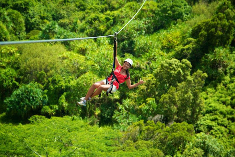 Kauai: Zipline Adventure - Safety Measures and Historical Narratives