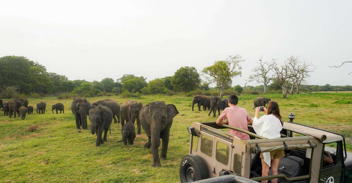 Kaudulla National Park Half Day Sri Lanka Jeep Safari - Review and Rating Insights