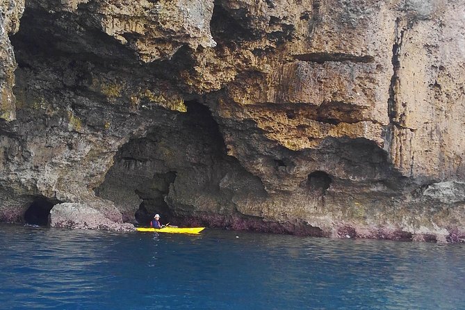 Kayak Mangroves or Coral Reef: Private Tour in North Okinawa - Customer Reviews and Ratings