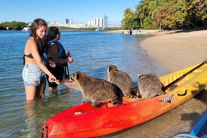 Kayak or Stand up Paddle Board Island and Wildlife Exploration - Policies and Reviews