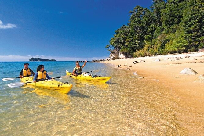 Kayak & Pitt Head Nature Loop - Guided Kayak & Unguided Walk - New Zealand - Experience Expectations