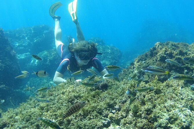 Kayak & Snorkel Tour in Cerro Gordo Natural Park, La Herradura - Logistics and Meeting Point