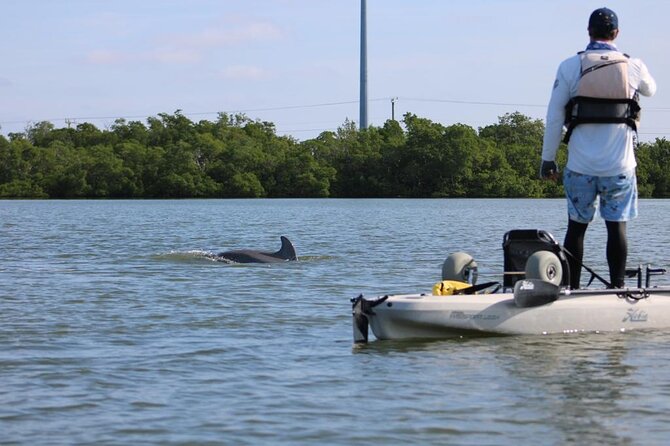 Kayak Tour Adventure Marco Island and Naples Florida - Customer Reviews and Feedback