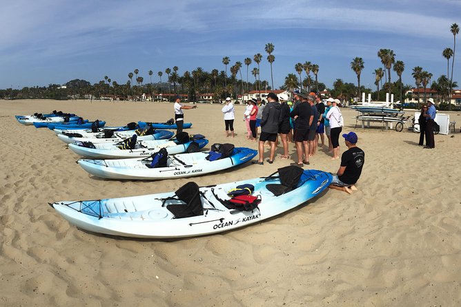 Kayak Tour of Santa Barbara With Experienced Guide - Tour Highlights