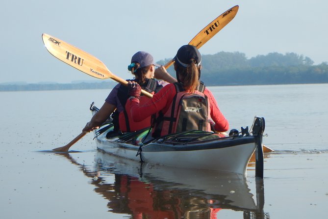 Kayaking the Uruguay River Half Day Excursion (Mar ) - Customized Route Experience