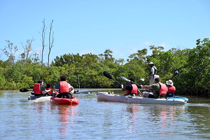 Kayaking Tour of Mangrove Tunnels in South Florida  - Fort Lauderdale - Customer Reviews