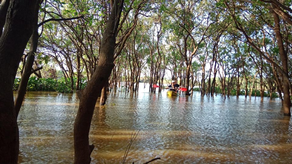 Kayaking Tour, Sunset at Tonle Sap - Inclusions