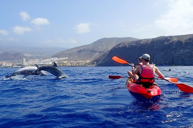 Kayaking With Dolphins and Turtles and Snorkelling in Tenerife - Traveler Feedback