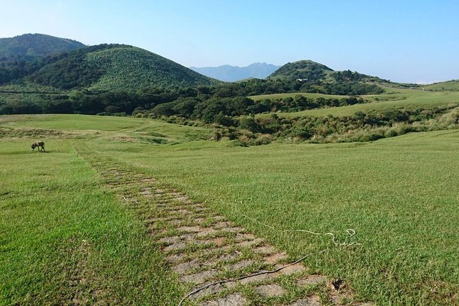 Keelung Shore Excursion: Yangmingshan Hot Spring and Wild Vegetable Cuisine Tour - Hot Spring Experience