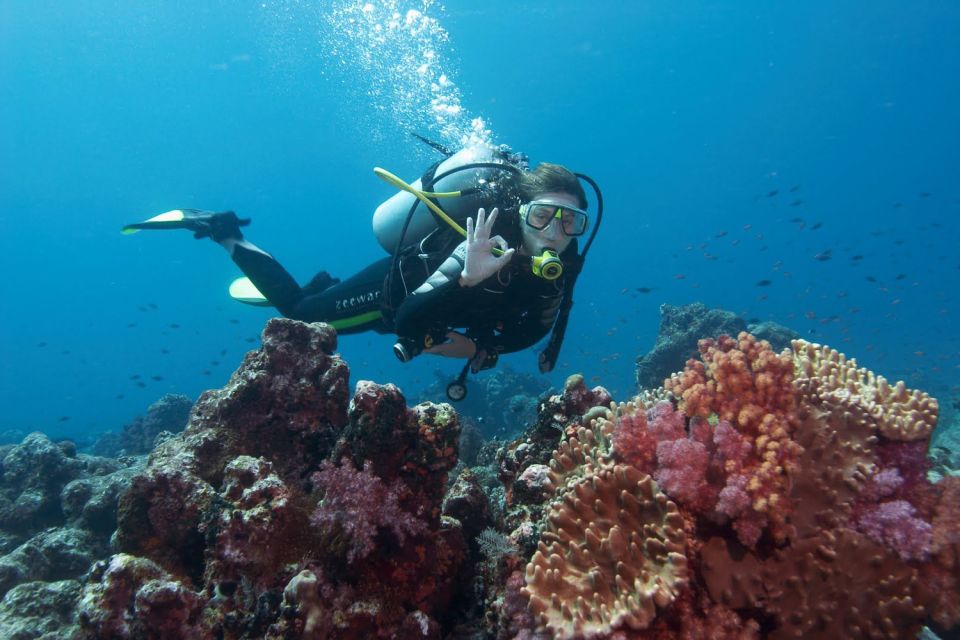 Kemer Full-Day Scuba Diving Adventure - Dive Experience