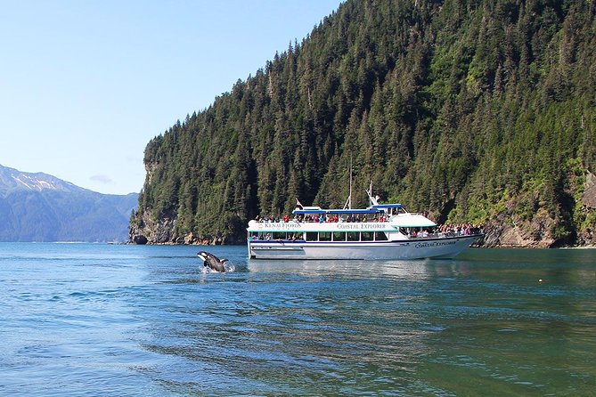 Kenai Fjords National Park Cruise From Seward - Customer Experience
