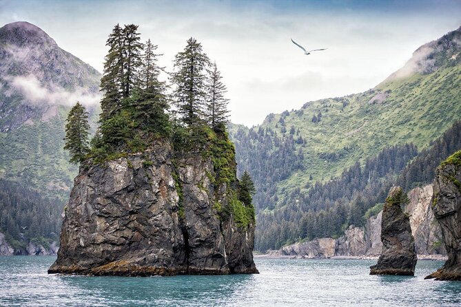 Kenai Fjords National Park Glacier & Wildlife Cruise - Customer Feedback and Recommendations