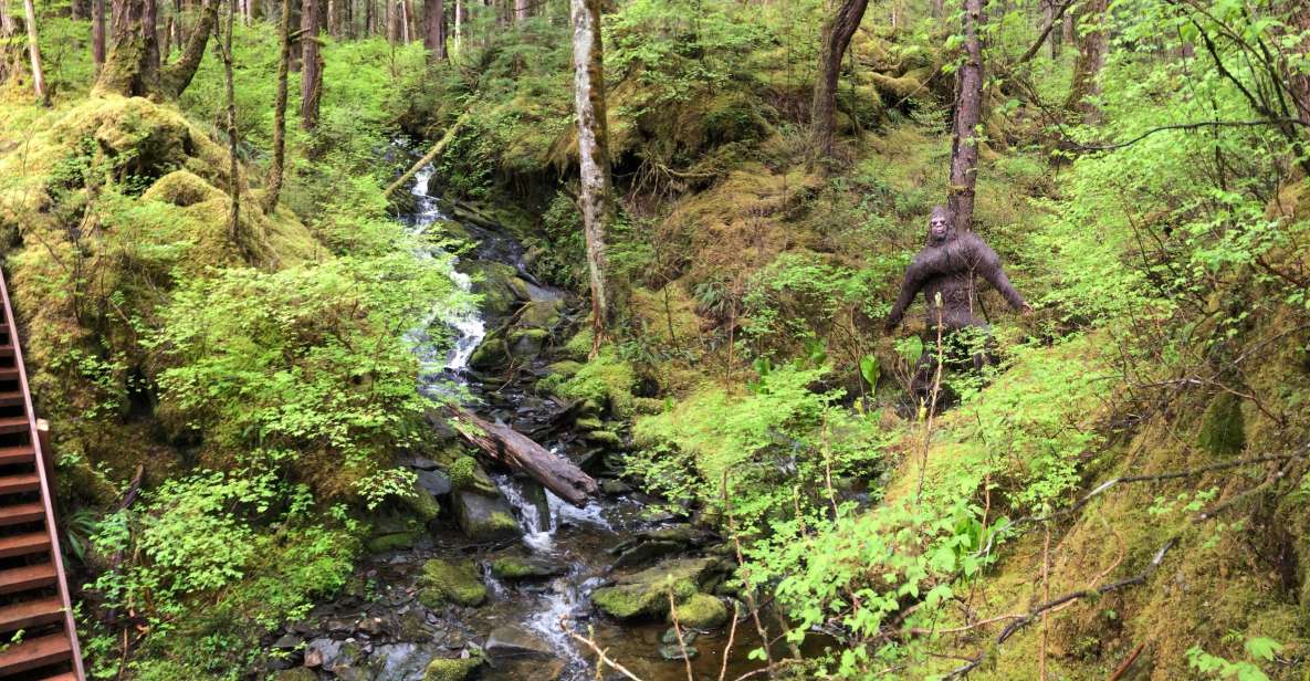 Ketchikan: Tongass Forest Alaska Bigfoot ATV Ride and Hike - Booking Information and Product ID