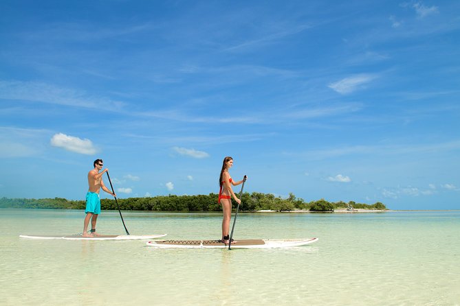 Key West Island Adventure: Kayak, Snorkel, Paddleboard - Customer Experience