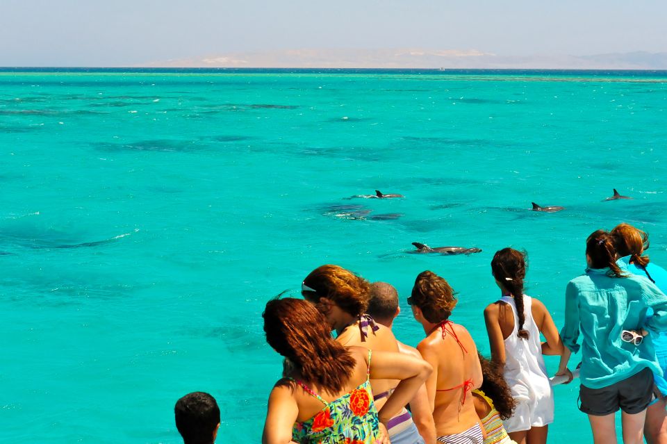 Key West Sandbar Excursion & Dolphin Tour Includes Beer Wine - Key Experiences